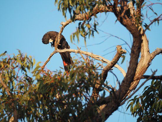 Gooseberry Hill National Park